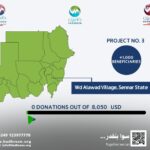 Rehabilitation of Water Station (Sennar State)