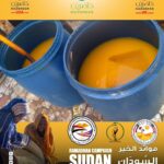 7ff9ef65-a2cf-4a48-8732-dae890b350ac